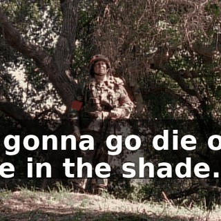 I'm gonna go die over here in the shade.