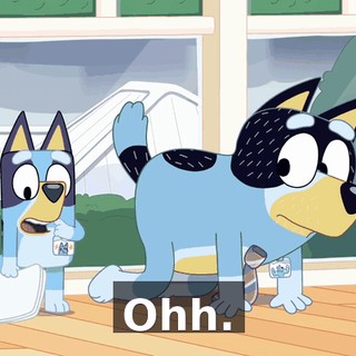 95f87412-7376-4a4c-9061-8c0e544f3b9e.gif