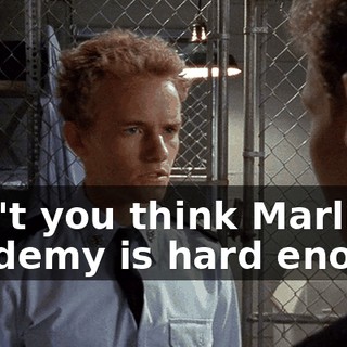Don't you think Marlin Academy is hard enough