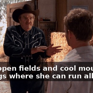 with open fields and cool mountain springs where she can run all day,