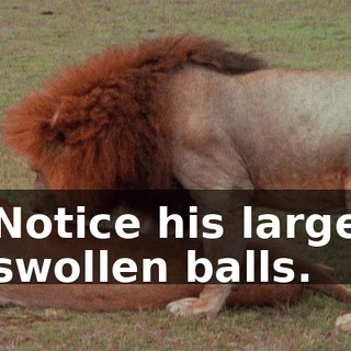 964e7ad5-b9d3-4734-9029-20508ae7d87d.gif
