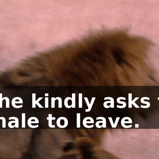 965dfce4-593c-4759-8277-e7295fd44329.gif