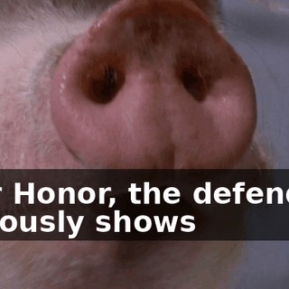 Your Honor, the defendant obviously shows
