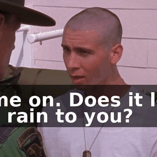 Come on. Does it look like rain to you?