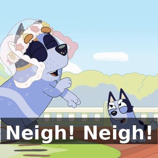 Neigh! Neigh!