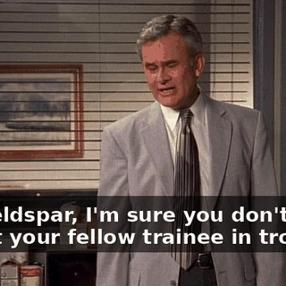 Mr. Feldspar, I'm sure you don't want to get your fellow trainee in trouble.