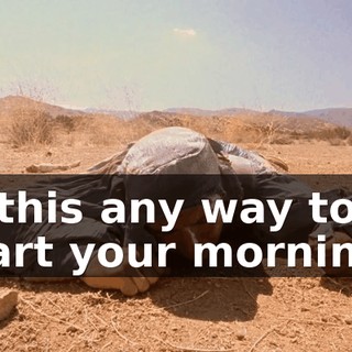 Is this any way to start your morning?