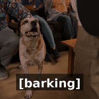 [barking]