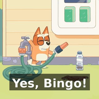 Yes, Bingo!