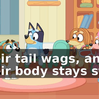 97b3481b-cf0b-4a9e-8eaa-a03e49fcd289.gif