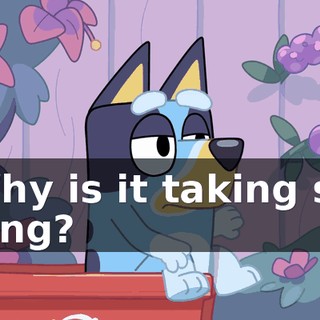 982f30b4-6d35-468b-8c31-b4a9beb362d2.gif