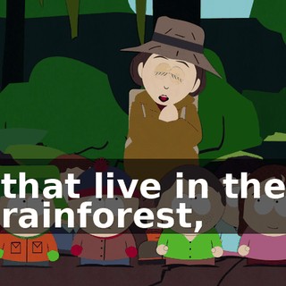 that live in the rainforest,