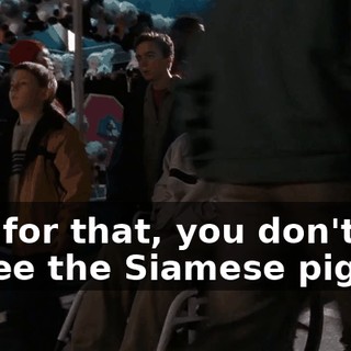 Just for that, you don't get to see the Siamese pigs.