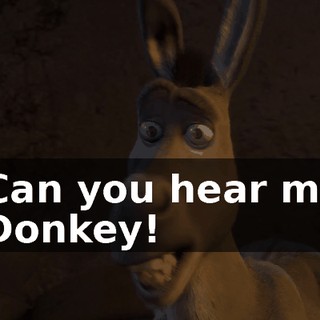 - Can you hear me? - Donkey!