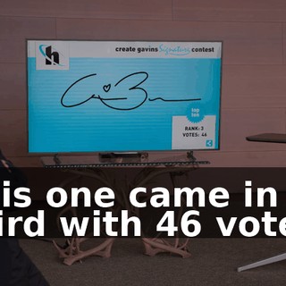This one came in third with 46 votes.