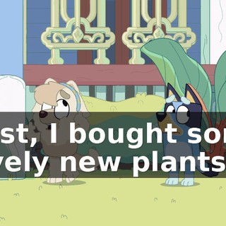 First, I bought some lovely new plants,