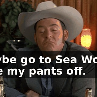maybe go to Sea World, take my pants off.
