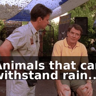 Animals that can withstand rain...