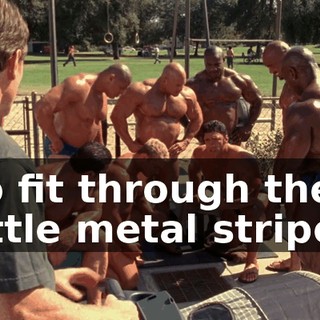 to fit through the little metal stripes