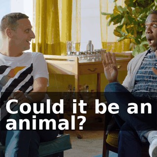 Could it be an animal?