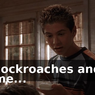 cockroaches and me...