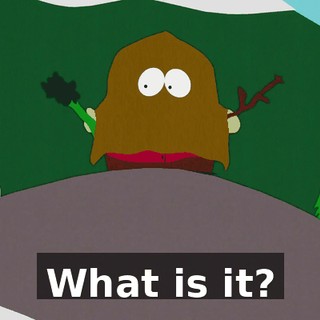 What is it?