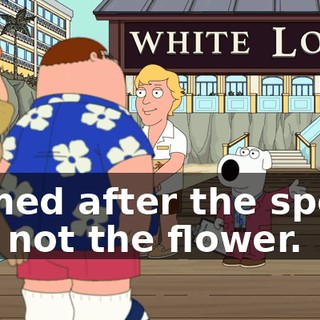 99264601-3c74-4a5b-a649-0725fc788202.gif