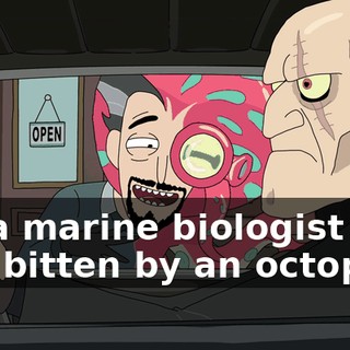 9929c4fc-19d1-4b00-974d-7e6b2cb94504.gif