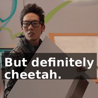 But definitely cheetah.
