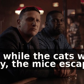 And while the cats were away, the mice escaped,
