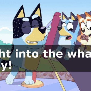 99801381-9008-4e50-951c-b1f54e7b5e95.gif