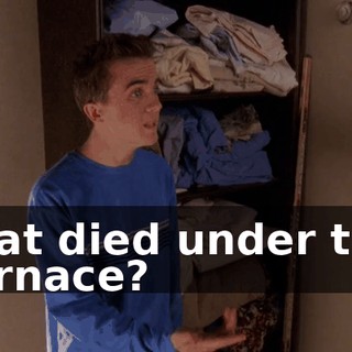 that died under the furnace?
