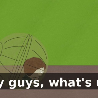 Hey guys, what's up?