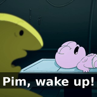 Pim, wake up!