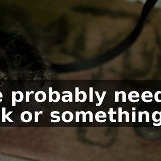9a260208-a0ec-4ad5-908d-6af525c62acf.gif