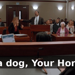 is a dog, Your Honor.