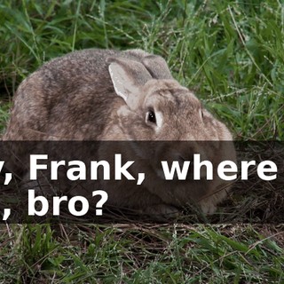 9a6933bb-3724-4843-ab78-ff59e0d9f995.gif
