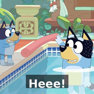 9a6a4810-01f2-4bd1-943e-fd0ae94847f8.gif