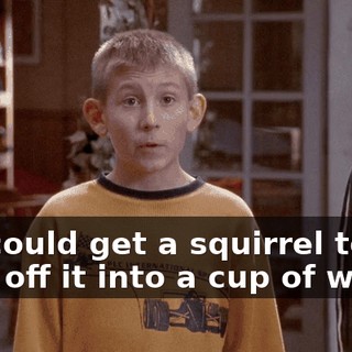 We could get a squirrel to dive off it into a cup of water.