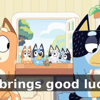 9acc319b-7d30-4c8f-8f29-97c2d2d8ee0b.gif