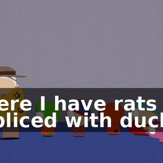 9afd0e6b-4b56-4b14-9663-26a2bde78ab0.gif