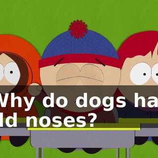 9bd23642-54aa-4ce8-8ddf-3da95c34d46d.gif