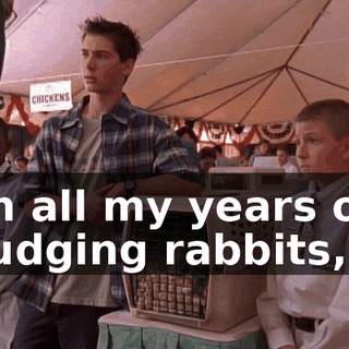 In all my years of judging rabbits,
