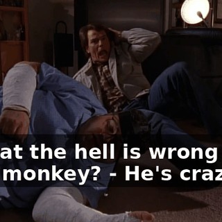 - What the hell is wrong with that monkey? - He's crazy.