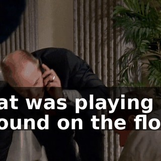 that was playing around on the floor.