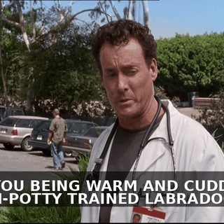 9c8aa9da-5b3f-4c53-b827-0d6b88ac6fc9.gif