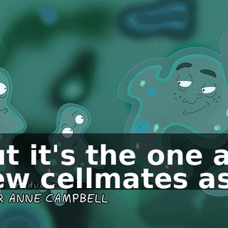 9ca3f7f7-1017-4db2-b2bd-c201149bfb88.gif