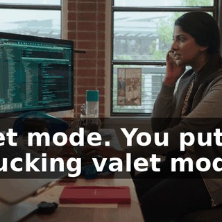 Valet mode. You put me in fucking valet mode.