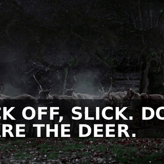 BACK OFF, SLICK. DON'T SCARE THE DEER.