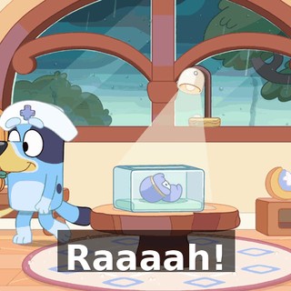9d1579ca-582e-4c73-93c0-64e255e44c09.gif